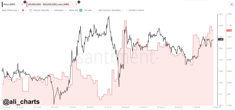 Whale Ripple Borong XRP Senilai US$228 Juta dalam 10 Hari