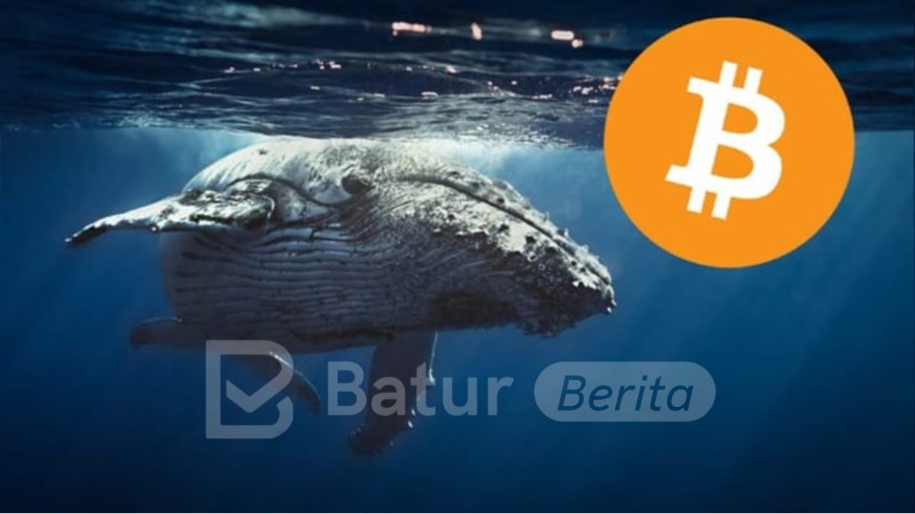 Akumulasi Whale Bikin Bitcoin Naik Tetapi Volatil