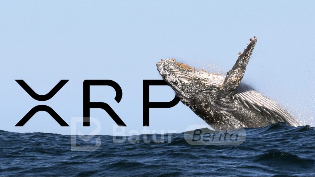 Whale Ripple Borong 470 Juta XRP, Harga Siap Meroket?