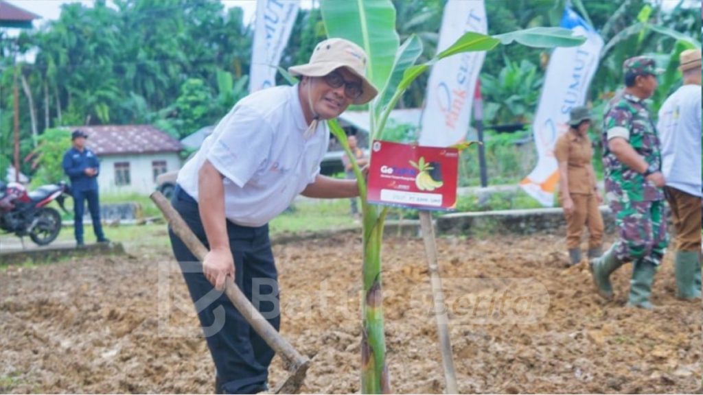 Bank Sumut Berikan Edukasi Keuangan bagi Komunitas Petani Pisang di Nias