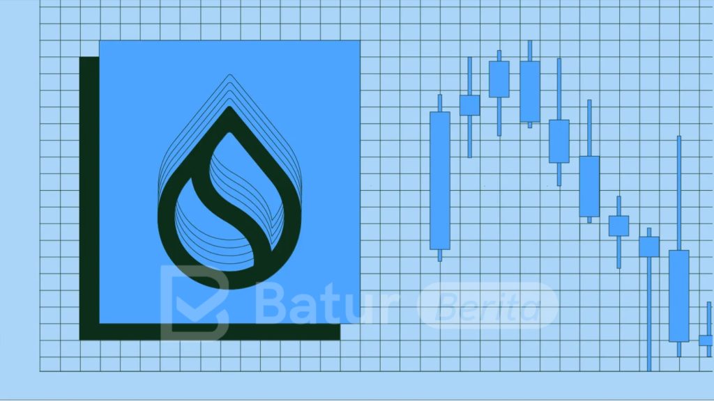 Harga SUI Bakal Anjlok? Analis Ungkap Alasannya
