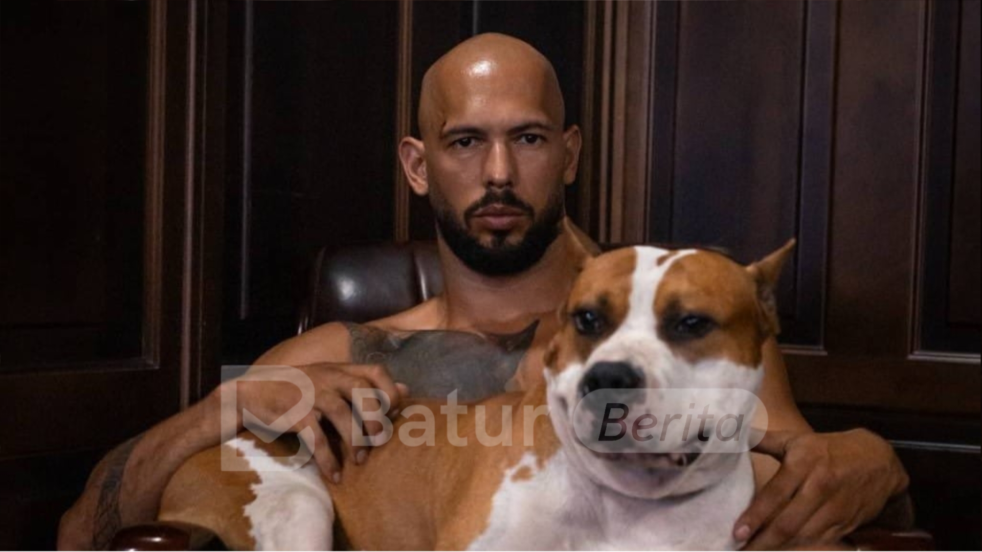 Andrew Tate Mengatakan Koin MEME Sangat Bahaya