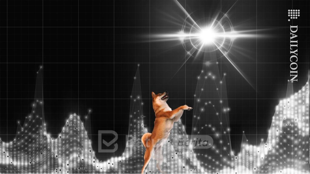 Shibarium Siap Hard Fork: Apa yang Bikin Harga SHIB Bisa Melejit?