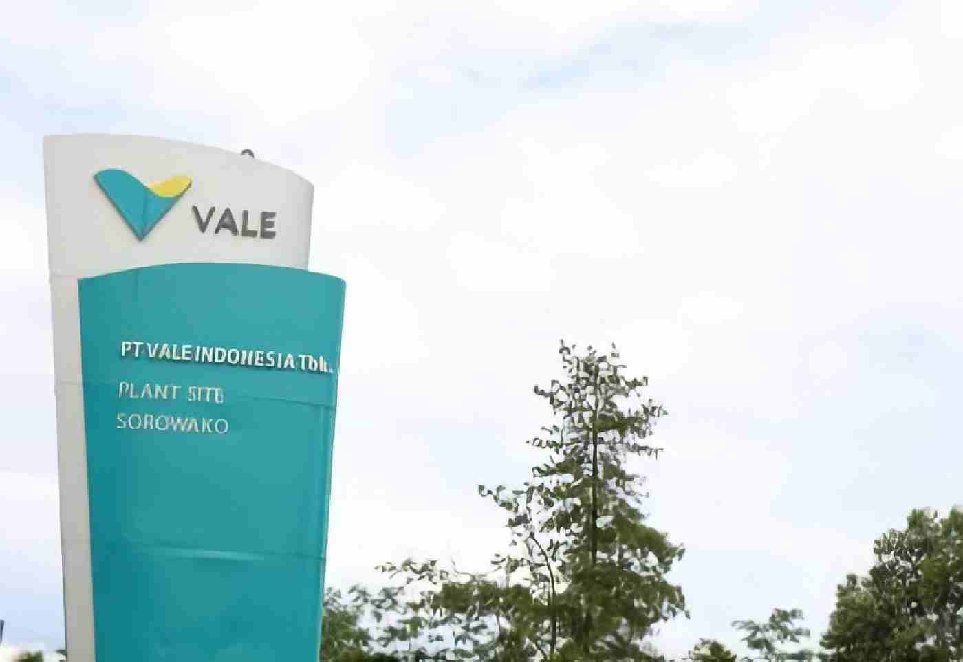 Vale (INCO) Torehkan Laba Positif di Kuartal I-2025