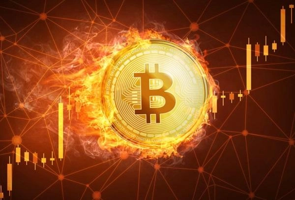 Trader Top Beri Sinyal Bahaya Terkait Bitcoin, Ada Apa?