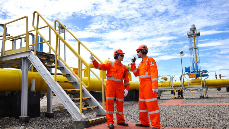 Emiten Jagoan Lo Kheng Hong Mau Ketok Dividen, Riwayatnya Rp 148/Saham