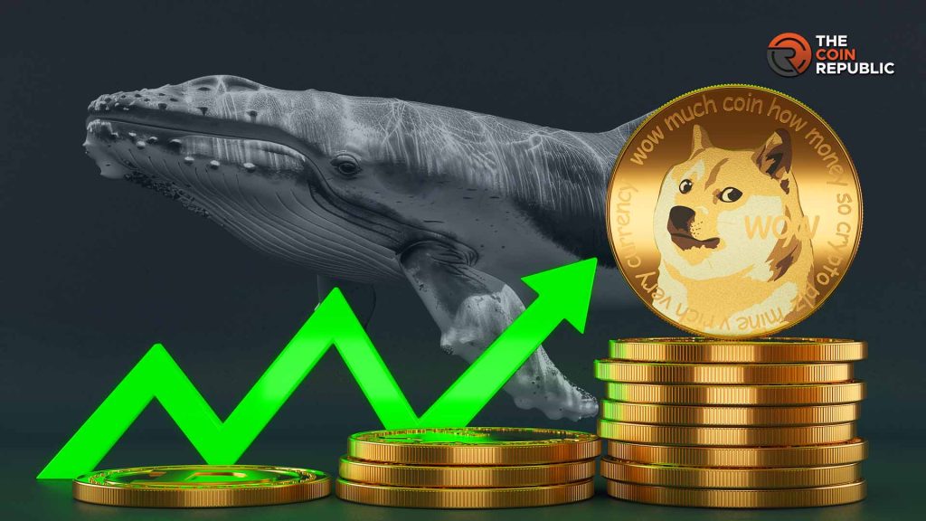 Dogecoin Naik 35 Persen, Whale Campur Tangan?