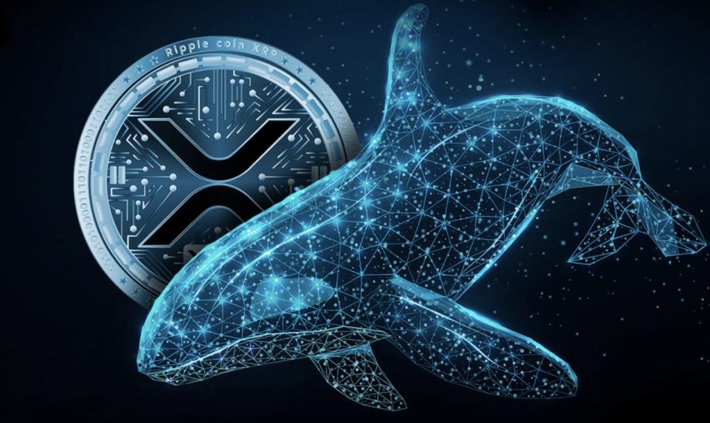 Dompet Whale Terus Bertambah, XRP Menuju Lonjakan Besar?