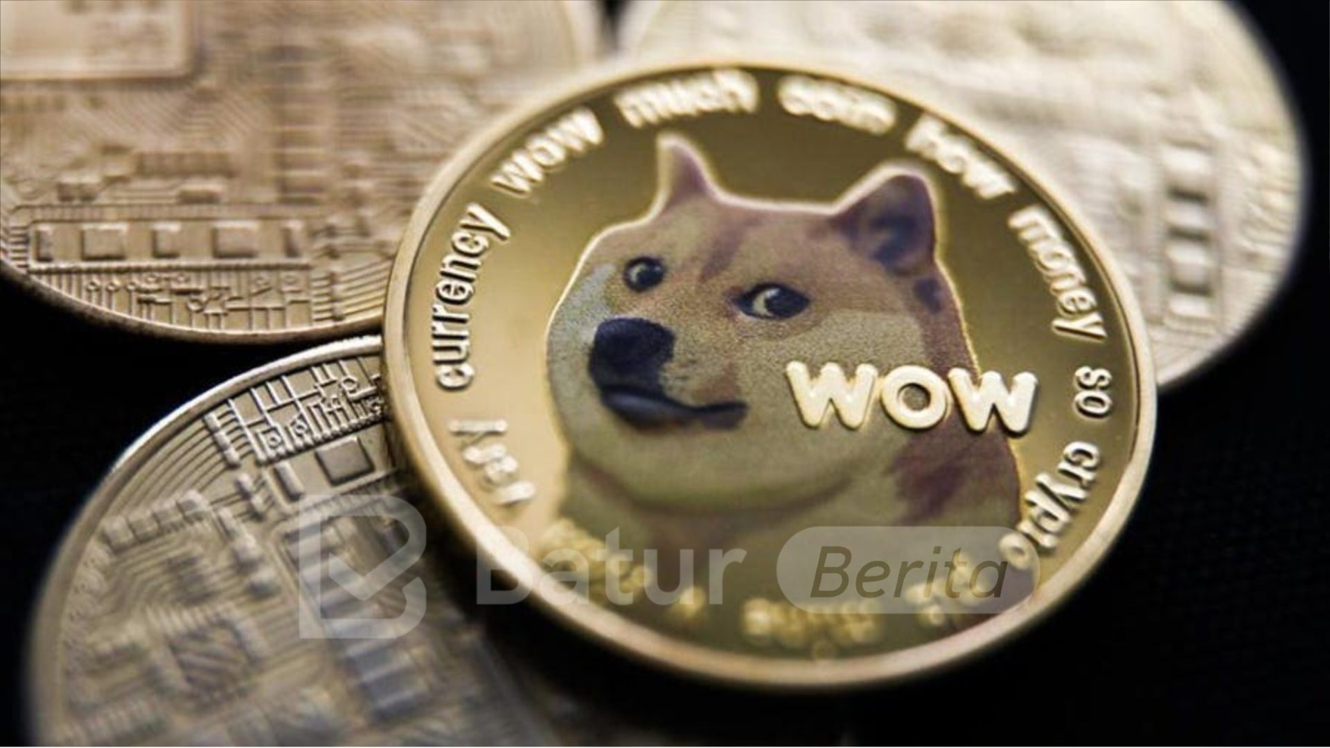 Aktivitas Dogecoin Meningkat: 72 Persen Alamat Baru dalam Sepekan!