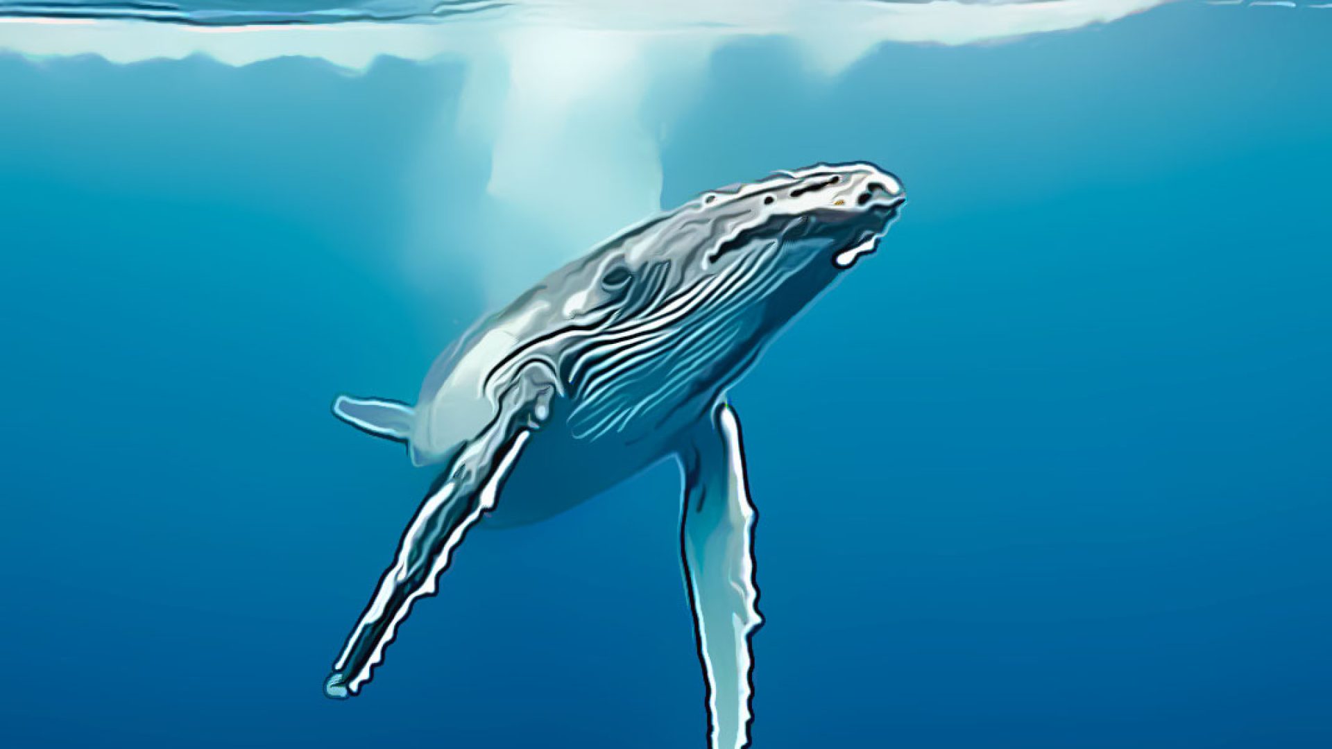 Apa Yang Dilakukan Para Whale Bitcoin Saat Ini?