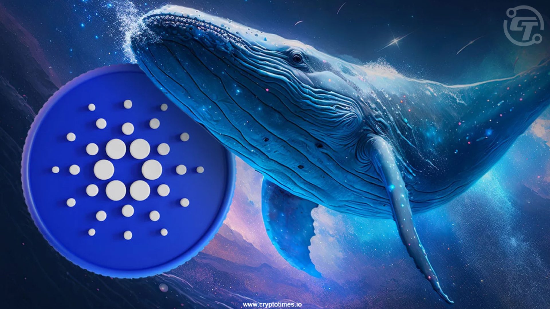 Cardano di Borong Whale, Ini Alasan Mereka