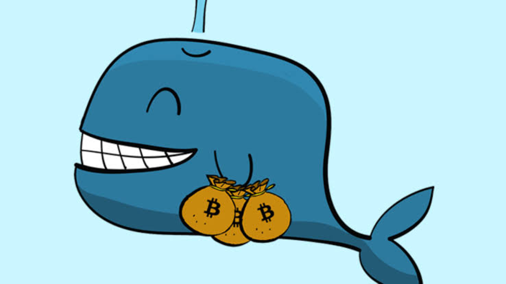 Apa Yang Dilakukan Para Whale Bitcoin Selama Tahun Ini?