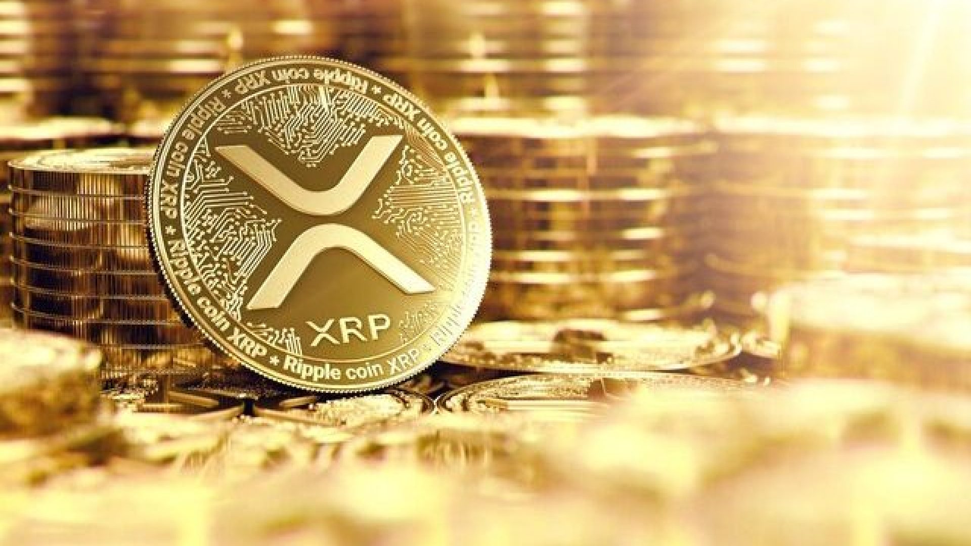 Ripple Menang Lawan SEC, Whale Langsung Gas Transfer XRP