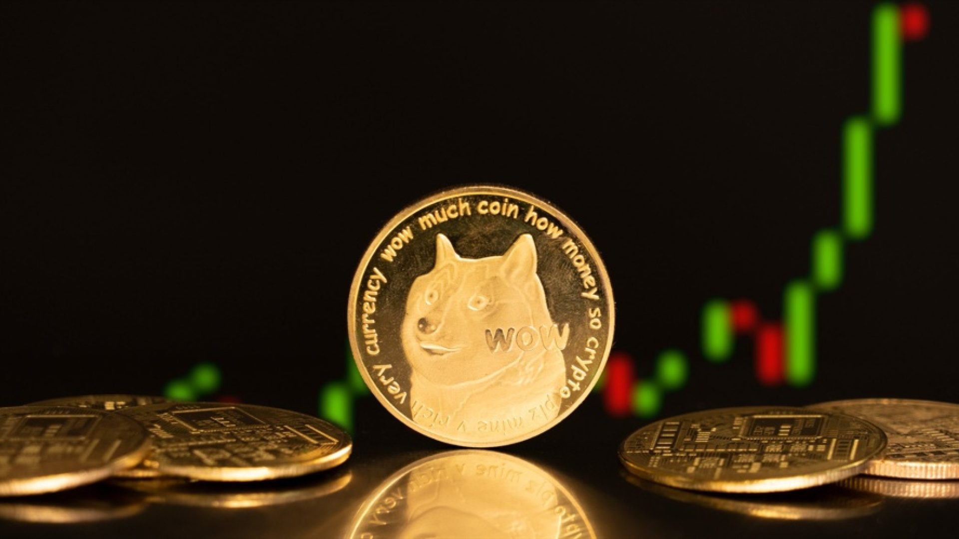 Transfer 100 Juta DOGE Picu Perhatian, Sinyal Masih Wait and See