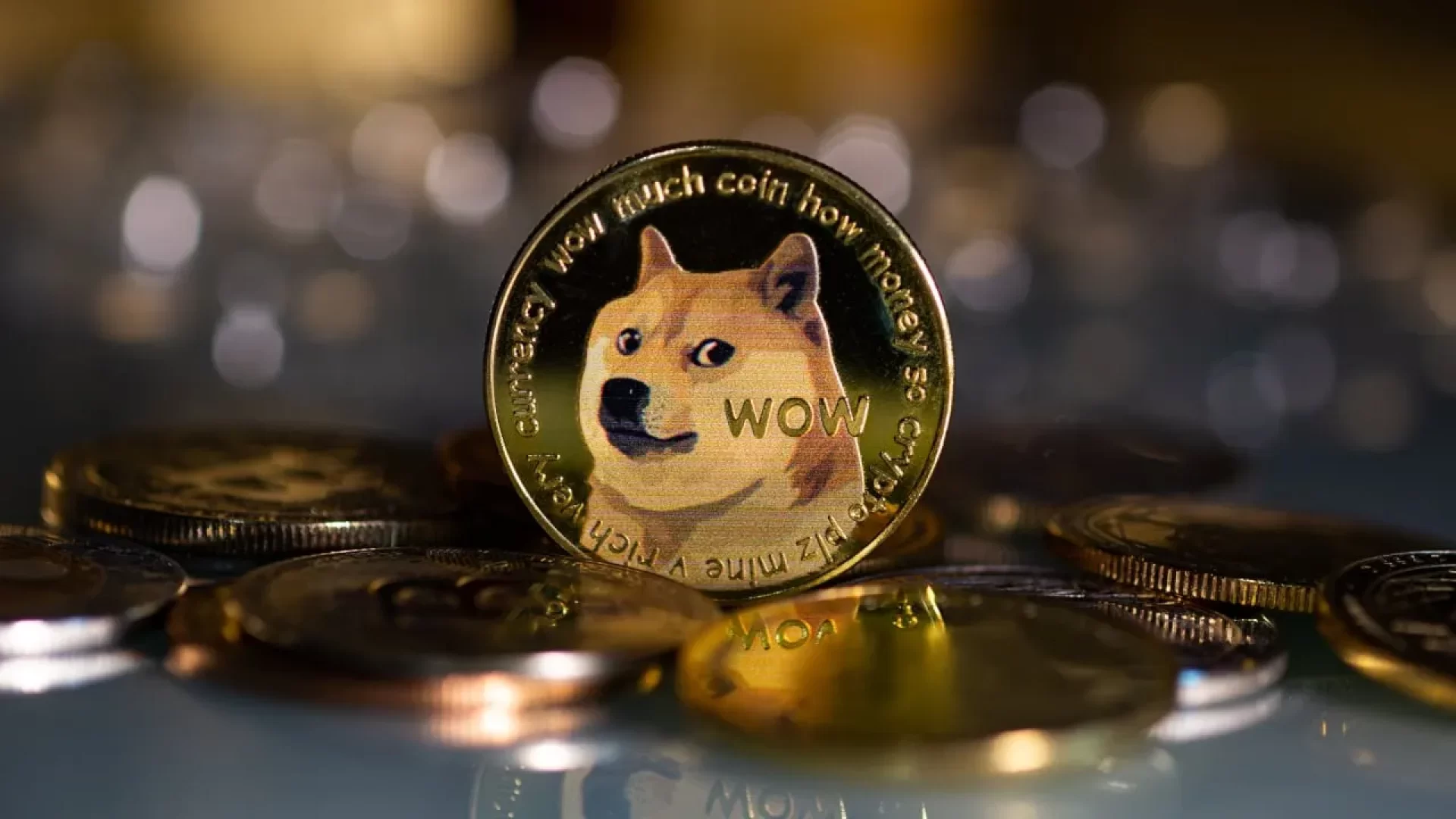doecoin