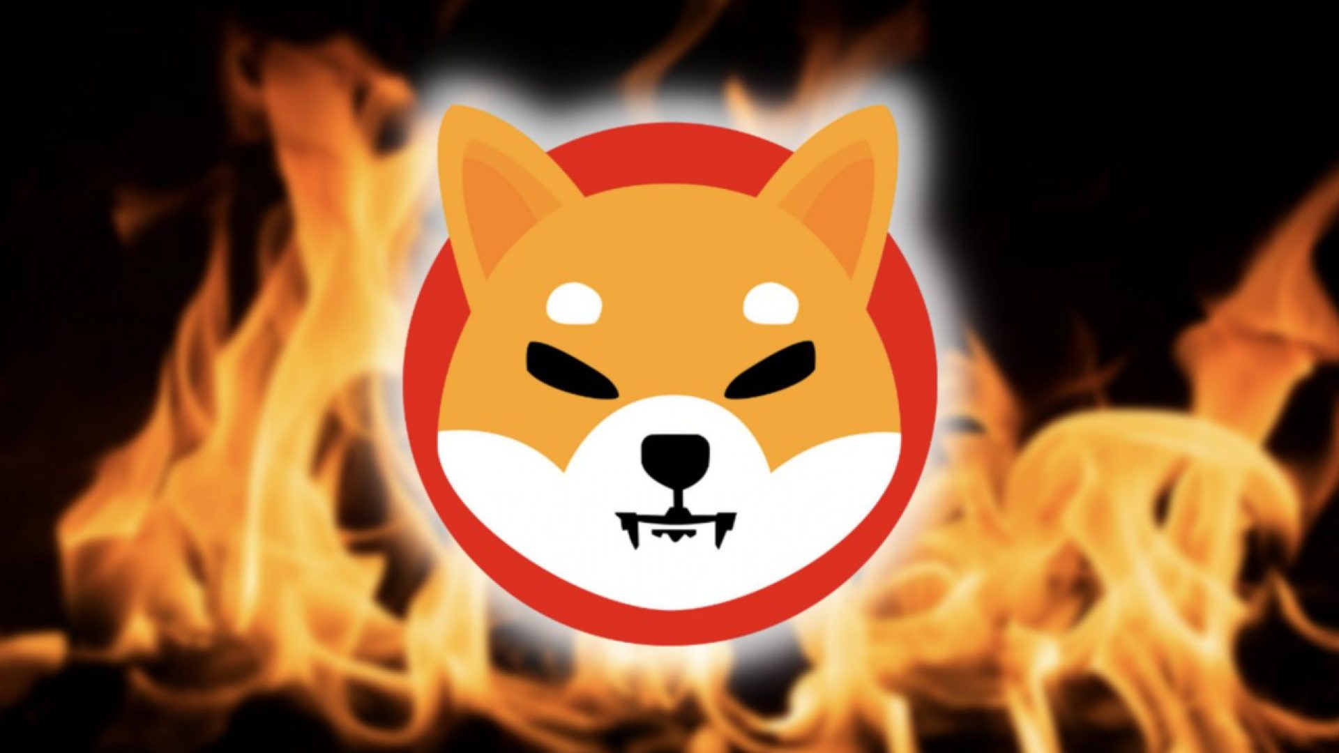 Pasar Kripto Berdarah, Shiba Inu Malah Asyik Bakar-Bakar Jutaan Koin