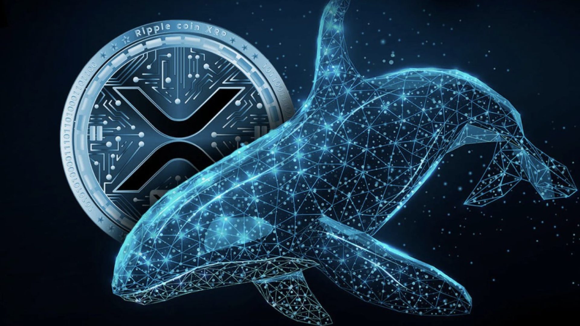 Dompet Whale Terus Bertambah, XRP Menuju Lonjakan Besar?